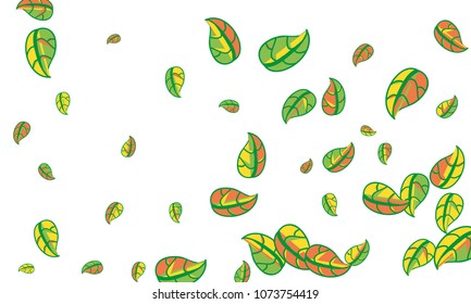 Hand Drawn tea leaf background. Vector summer composition of tea leaves on white background. Sketch cartoon style illustration and background pattern. Hand drawn herbal green tea.
