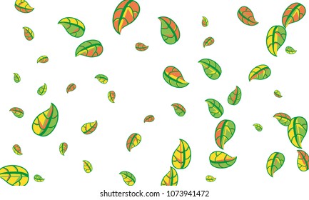 Hand Drawn tea leaf background. Vector summer composition of tea leaves on white background. Sketch cartoon style illustration and background pattern. Hand drawn herbal green tea.