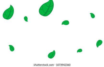 Hand Drawn tea leaf background. Vector summer composition of tea leaves on white background. Sketch cartoon style illustration and background pattern. Hand drawn herbal green tea.