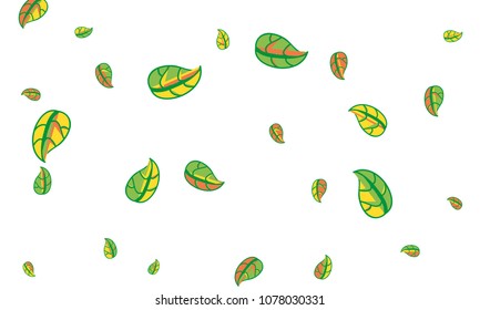 Hand Drawn tea leaf background. Vector summer composition of tea leaves on white background. Sketch cartoon style illustration and background pattern. Hand drawn herbal green tea.
