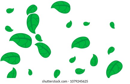 Hand Drawn tea leaf background. Vector summer composition of tea leaves on white background. Sketch cartoon style illustration and background pattern. Hand drawn herbal green tea.