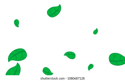 Hand Drawn tea leaf background. Vector summer composition of tea leaves on white background. Sketch cartoon style illustration and background pattern. Hand drawn herbal green tea.