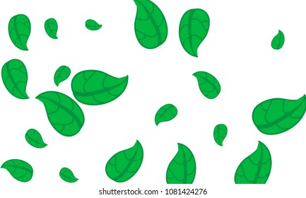 Hand Drawn tea leaf background. Vector summer composition of tea leaves on white background. Sketch cartoon style illustration and background pattern. Hand drawn herbal green tea.