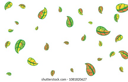 Hand Drawn tea leaf background. Vector summer composition of tea leaves on white background. Sketch cartoon style illustration and background pattern. Hand drawn herbal green tea.