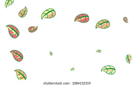 Hand Drawn tea leaf background. Vector summer composition of tea leaves on white background. Sketch cartoon style illustration and background pattern. Hand drawn herbal green tea.