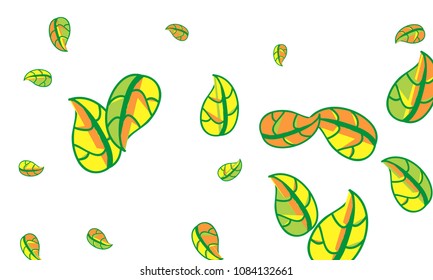 Hand Drawn tea leaf background. Vector summer composition of tea leaves on white background. Sketch cartoon style illustration and background pattern. Hand drawn herbal green tea.