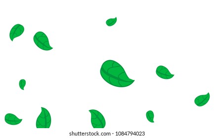 Hand Drawn tea leaf background. Vector summer composition of tea leaves on white background. Sketch cartoon style illustration and background pattern. Hand drawn herbal green tea.