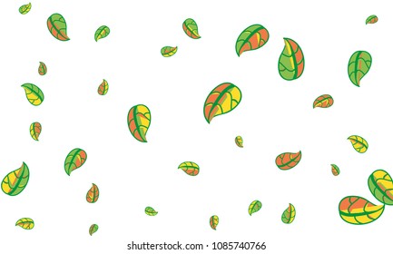 Hand Drawn tea leaf background. Vector summer composition of tea leaves on white background. Sketch cartoon style illustration and background pattern. Hand drawn herbal green tea.