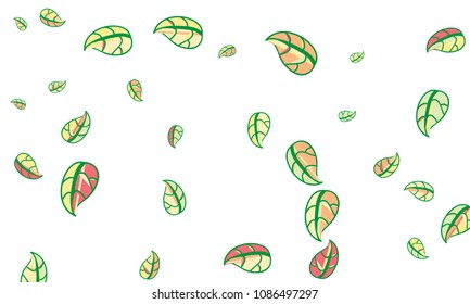 Hand Drawn tea leaf background. Vector summer composition of tea leaves on white background. Sketch cartoon style illustration and background pattern. Hand drawn herbal green tea.