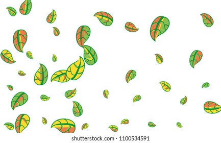 Hand Drawn tea leaf background. Vector summer composition of tea leaves on white background. Sketch cartoon style illustration and background pattern. Hand drawn herbal green tea.