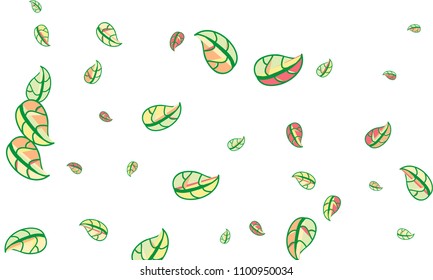 Hand Drawn tea leaf background. Vector summer composition of tea leaves on white background. Sketch cartoon style illustration and background pattern. Hand drawn herbal green tea.