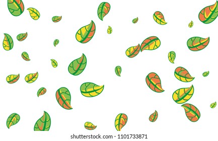 Hand Drawn tea leaf background. Vector summer composition of tea leaves on white background. Sketch cartoon style illustration and background pattern. Hand drawn herbal green tea.