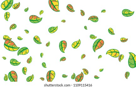 Hand Drawn tea leaf background. Vector summer composition of tea leaves on white background. Sketch cartoon style illustration and background pattern. Hand drawn herbal green tea.