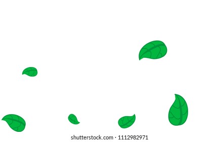 Hand Drawn tea leaf background. Vector summer composition of tea leaves on white background. Sketch cartoon style illustration and background pattern. Hand drawn herbal green tea.