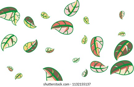 Hand Drawn tea leaf background. Vector summer composition of tea leaves on white background. Sketch cartoon style illustration and background pattern. Hand drawn herbal green tea.