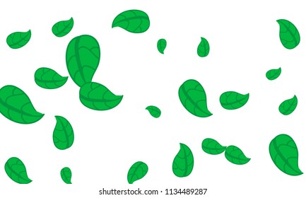 Hand Drawn tea leaf background. Vector summer composition of tea leaves on white background. Sketch cartoon style illustration and background pattern. Hand drawn herbal green tea.