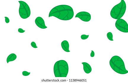 Hand Drawn tea leaf background. Vector summer composition of tea leaves on white background. Sketch cartoon style illustration and background pattern. Hand drawn herbal green tea.