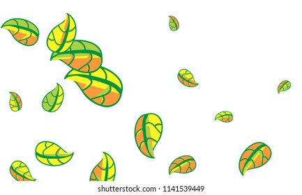 Hand Drawn tea leaf background. Vector summer composition of tea leaves on white background. Sketch cartoon style illustration and background pattern. Hand drawn herbal green tea.