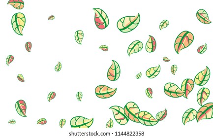 Hand Drawn tea leaf background. Vector summer composition of tea leaves on white background. Sketch cartoon style illustration and background pattern. Hand drawn herbal green tea.