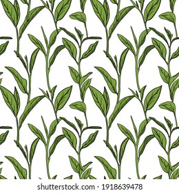 Hand drawn tea seamless pattern in graphic style, vector illustration.