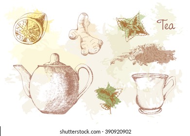 Hand drawn tea set on paint background