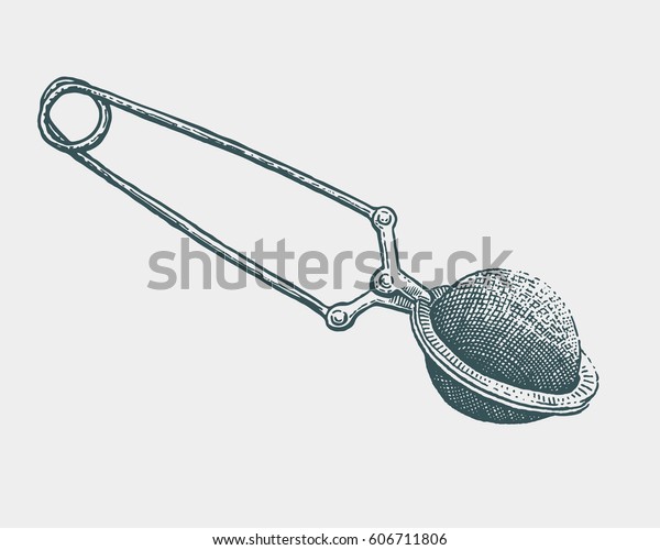 Hand Drawn Tea Strainer Illustration Engraving Stock Vector (Royalty