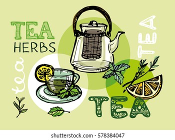 Hand drawn tea time collection.  Vector illustration.