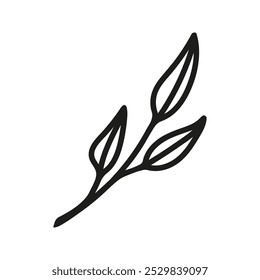 Hand drawn tea twig foliage, herbal branch. Linear doodle clipart