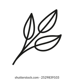 Hand drawn tea twig foliage, herbal branch. Linear doodle clipart