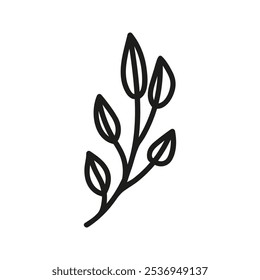 Hand drawn tea twig foliage, herbal branch. Linear doodle clipart