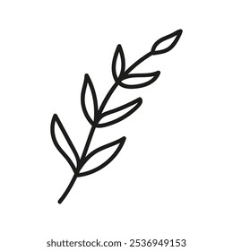 Hand drawn tea twig foliage, herbal branch. Linear doodle clipart