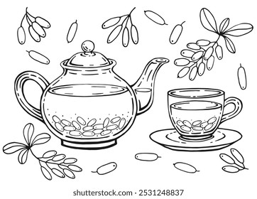 Hand drawn teapot, cup, barberry. Vector illustration in outline style.