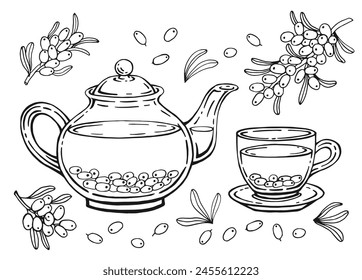 Hand drawn teapot, cup, sea buckthorn. Vector illustration in outline style.