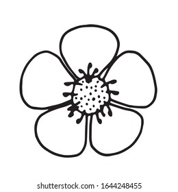 Hand drawn teeny flower. Black silhouettes on white background.Isolated.Vector illustration. Outline doodle.