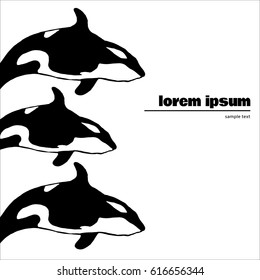 hand drawn template with killer whale. polar and arctic theme. place for text