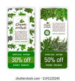 Hand drawn templates with culinary herbs and spices. Vector illustration for advertisement, recipes, label, farm market products. Hand drawn vintage background. Botanical template.