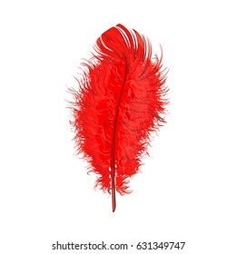 Hand drawn tender, fluffy red bird feather, sketch style vector illustration on white background. Realistic hand drawing of scarlet, red tender feather