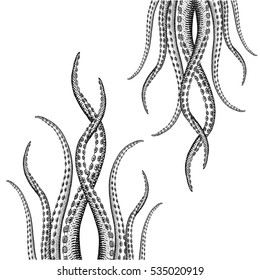 Hand Drawn Tentacle illustrations