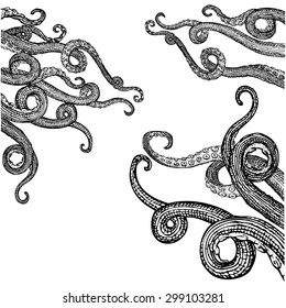 Hand Drawn Tentacles in a rough wood cut style (each tentacle is a separate vector that can be moved moved, re-sized or used in other designs)