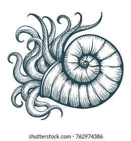 Hand drawn tentacles stick out of the sea shell in tattoo style. Vector illustration.