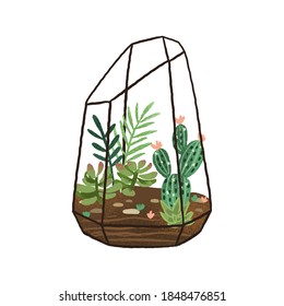 Hand drawn terrarium with succulents and cactuses composition. Stylish decorative mini garden isolated on white background. Flat vector cartoon illustration of glass geometric florarium