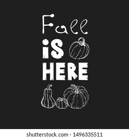 Hand drawn text Fall is Here and hand drawn pumpkins isolated on black background, autumn halloween background, vector icon 