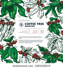 Hand drawn text frame. Vector illustration of Coffee tree branches with berries and coffee beans. Sketch style image of foliage and fruits. Botanical style illustration. Good for cafe menu design.