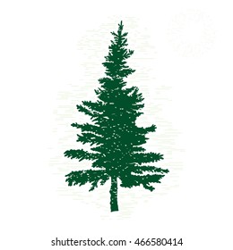 Hand drawn textured fir tree vector illustration. Silhouette of the grunge pine tree.