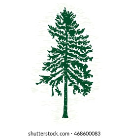 Hand drawn textured fir tree vector illustration. Silhouette of the grunge pine tree.