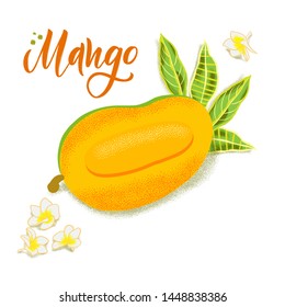 Hand drawn textured mango, flowers and leafs.  Colorful vector food illustration for healthy food cafe, restaurant, fruits and grocery market