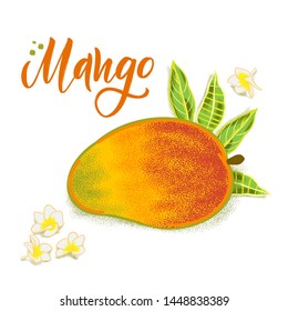 Hand drawn textured mango, flowers and leafs.  Colorful vector food illustration for healthy food cafe, restaurant, fruits and grocery market