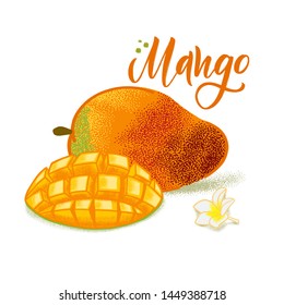 Hand drawn textured mango, flowers and leafs.  Colorful vector food illustration for healthy food cafe, restaurant, fruits and grocery market