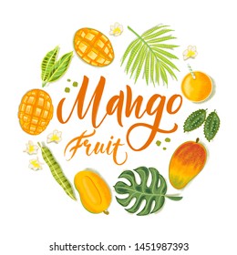 Hand drawn textured mango, flowers and leafs on white background.  Colorful vector flat lay food illustration for healthy food cafe, restaurant, fruits and grocery market