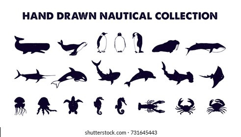 Hand drawn textured nautical fish vector illustrations set.